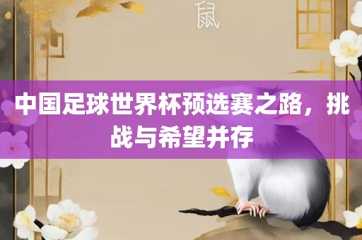 中国足球世界杯预选赛之路，挑战与希望并存