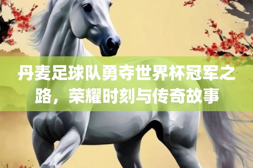 丹麦足球队勇夺世界杯冠军之路，荣耀时刻与传奇故事洛阳市法福文化传播有限公司