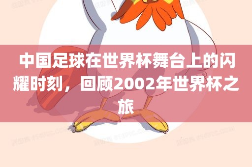 中国足球在世界杯舞台上的闪耀时刻，回顾2002年世界杯之旅洛阳市法福文化传播有限公司
