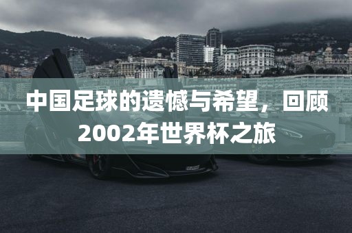 中国足球的遗憾与希望，回顾2002年世界杯之旅洛阳市法福文化传播有限公司