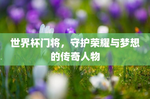 世界杯门将，守护荣耀与梦想的传奇人物