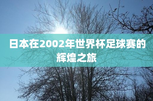 日本在2002年世界杯洛阳市法福文化传播有限公司足球赛的辉煌之旅