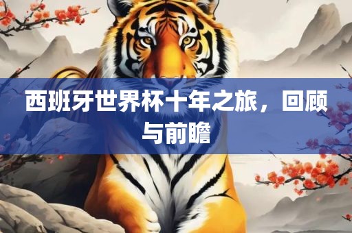 西班牙世界杯十年之旅，回顾与前瞻