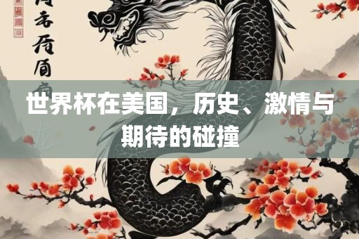 世界杯在美国，历史、激情与期待的碰撞