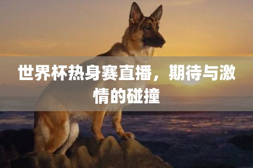 世界杯热身赛直播，期待与激情的碰撞