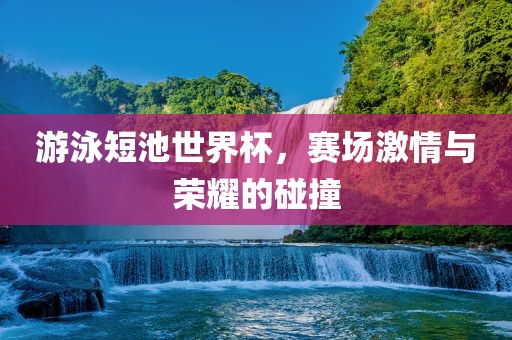 游泳短池世界杯，赛场激情与荣耀的碰撞
