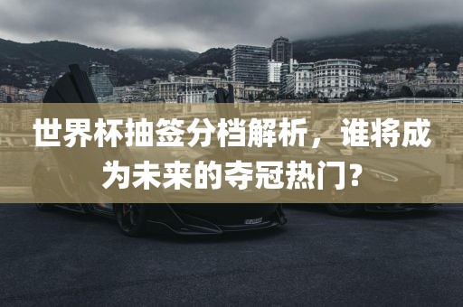 世界杯抽签分档解析，谁将成为未来的夺冠热门？