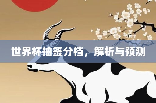 世界杯抽签分档，解析与预测