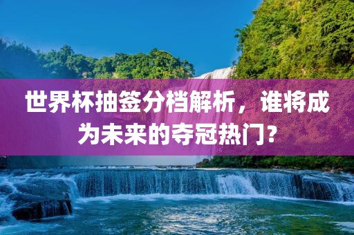 世界杯抽签分档解析，谁将成为未来的夺冠热门？