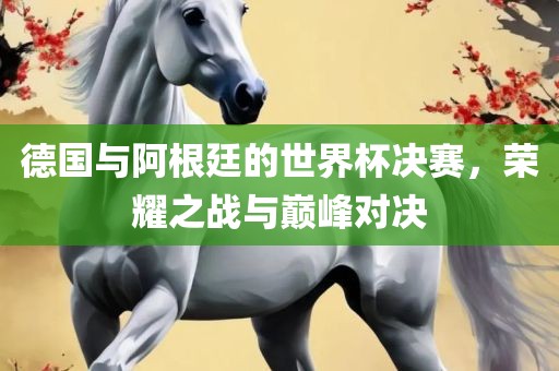 德国与阿根廷的世界杯决赛，荣耀之战与巅峰对决洛阳市法福文化传播有限公司