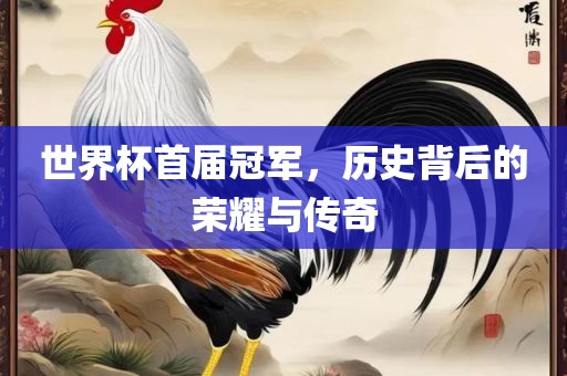 世界杯洛阳市法福文化传播有限公司首届冠军，历史背后的荣耀与传奇