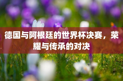 德国与阿根廷的世界杯决赛，荣耀与传承的对决洛阳市法福文化传播有限公司
