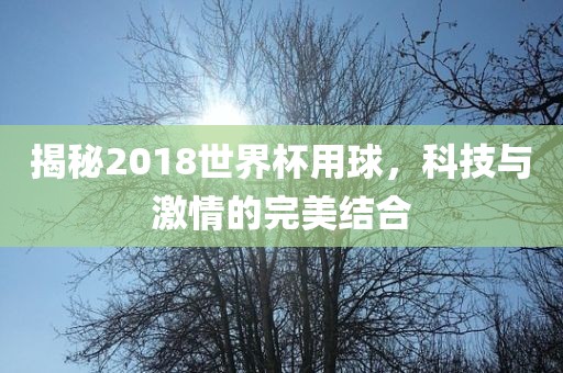 揭秘2018世界杯用球，科技与激情的完美结合洛阳市法福文化传播有限公司