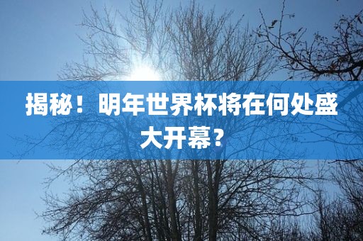 揭秘！明年世界杯将在何处盛大开幕？洛阳市法福文化传播有限公司