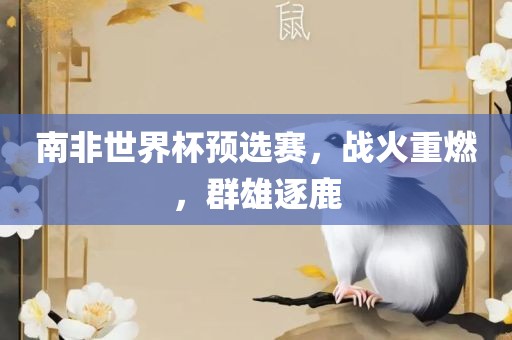 南非世界杯预选赛，战火重燃，群雄逐鹿