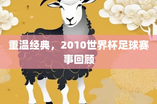 重温经典，2010世界杯足球赛事回顾