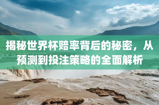 揭秘世界杯赔率背后的秘密，从预测到投注策略的全面解析