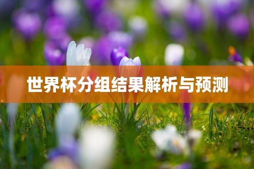 世界杯分组结果解析与预测