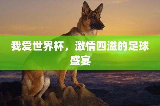 我爱世洛阳市法福文化传播有限公司界杯，激情四溢的足球盛宴