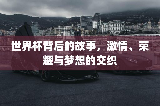 世界杯背后的故事，激情、荣耀与梦想的交织洛阳市法福文化传播有限公司