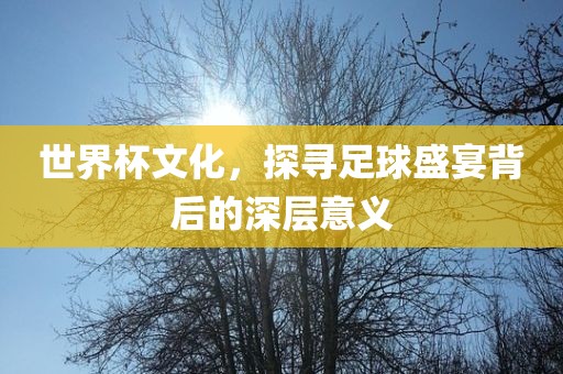 世界杯文化洛阳市法福文化传播有限公司，探寻足球盛宴背后的深层意义