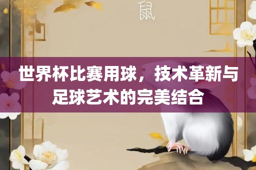 世界杯比赛用球，技术革新与足球艺术的完美结合洛阳市法福文化传播有限公司