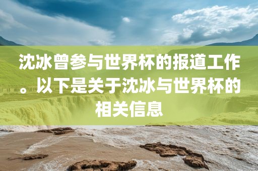 沈冰曾参与世界杯的报道工作。以下是关于沈冰与世界杯的相关信息