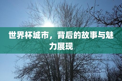 世界杯城市，背后的故事与魅力展现
