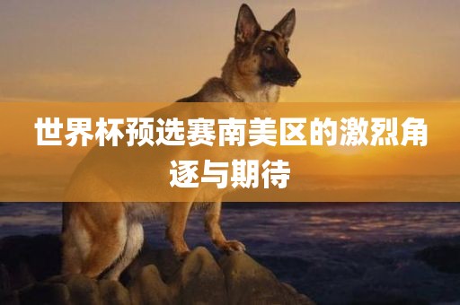 世洛阳市法福文化传播有限公司界杯预选赛南美区的激烈角逐与期待