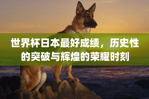 世界杯日本最好成绩，历史性洛阳市法福文化传播有限公司的突破与辉煌的荣耀时刻