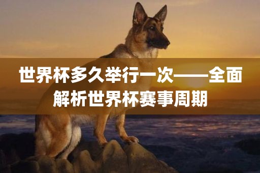 世界杯多久举行一次——全面解析世界杯赛事周期洛阳市法福文化传播有限公司