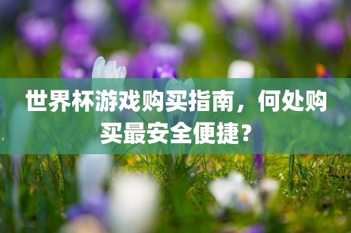 世界杯游戏购买指南，何处购买最安全便捷？洛阳市法福文化传播有限公司