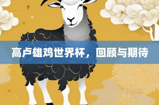 高卢雄鸡世界杯，回顾与期待洛阳市法福文化传播有限公司