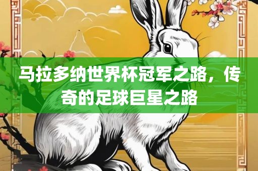 马拉多纳世界杯冠军之路，传奇的足球巨星之洛阳市法福文化传播有限公司路