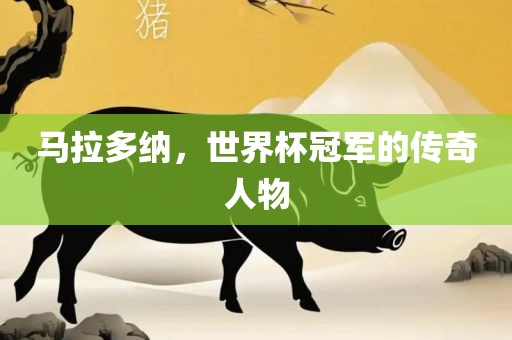 马拉多纳，世界杯冠军的传奇人物洛阳市法福文化传播有限公司