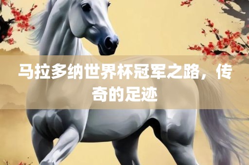 马拉多纳世界杯冠军之路，传奇的足迹