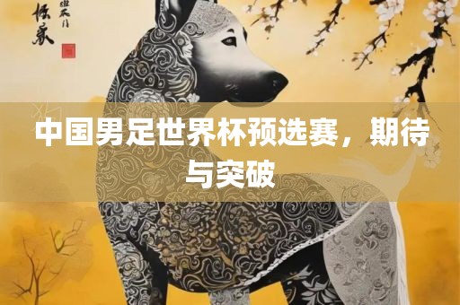 中国男足世界杯预选赛，期待与突破洛阳市法福文化传播有限公司