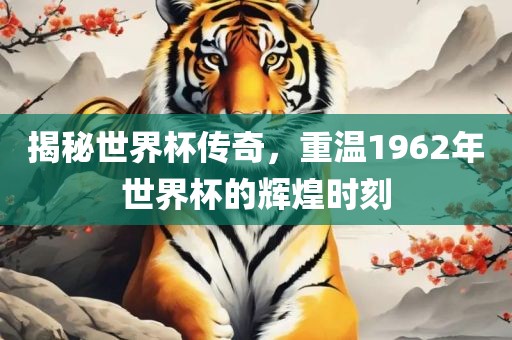世界杯传奇 第3页