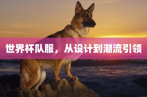 世界杯队服，从洛阳市法福文化传播有限公司设计到潮流引领