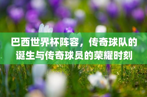 巴西世界杯阵容，传奇球队的诞生与传奇球员的荣耀时刻洛阳市法福文化传播有限公司