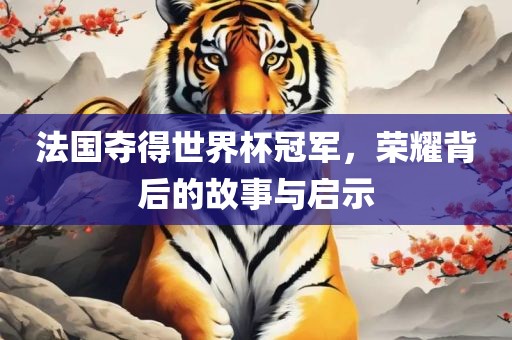 法国夺得世界杯冠军，荣耀背后的故事与启示