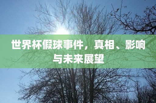 世界杯假球事件，真相、影响与未来展望