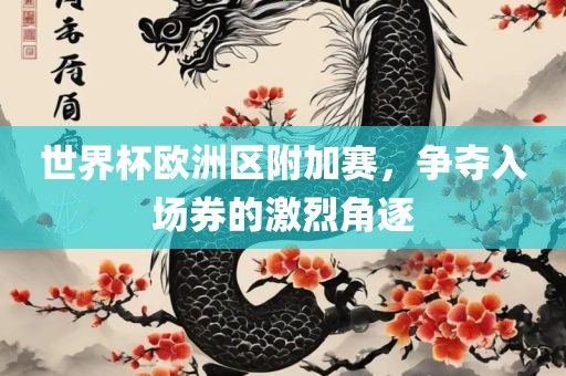 世界杯欧洲区附加赛，争夺入场券的激烈角逐洛阳市法福文化传播有限公司