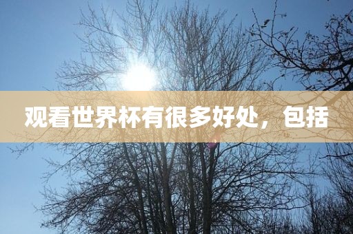 观看世界杯有很多好处，包括洛阳市法福文化传播有限公司