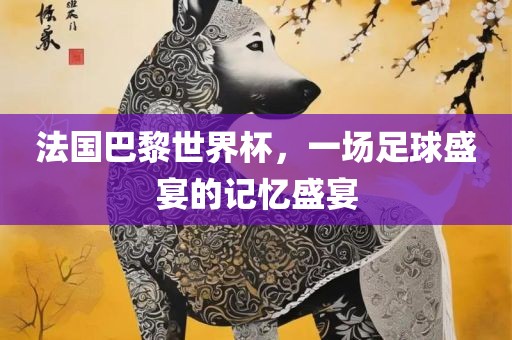 法国巴黎世界杯，一场足球盛宴的记忆盛宴