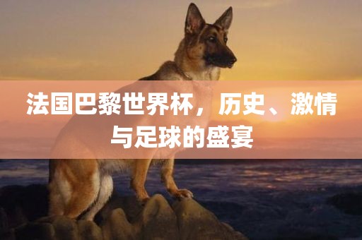 法国巴黎世界杯，历史、激情与足球的盛宴洛阳市法福文化传播有限公司