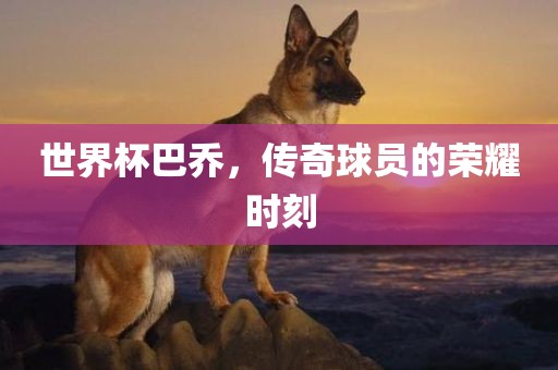 世界杯巴乔，传奇球员的荣耀时刻
