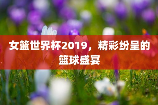 女篮世界杯2019，精彩纷呈的篮球盛宴洛阳市法福文化传播有限公司