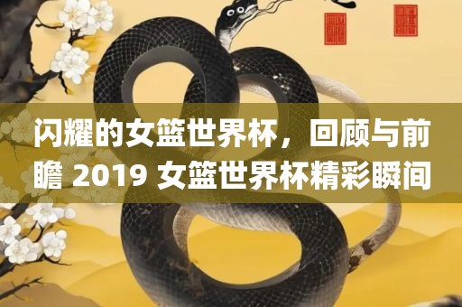 闪耀的女篮世界杯，回顾与前瞻 2019 女篮世界杯精彩瞬间