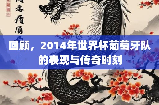 回顾，2014年世界杯葡萄牙队的表现与传奇时刻